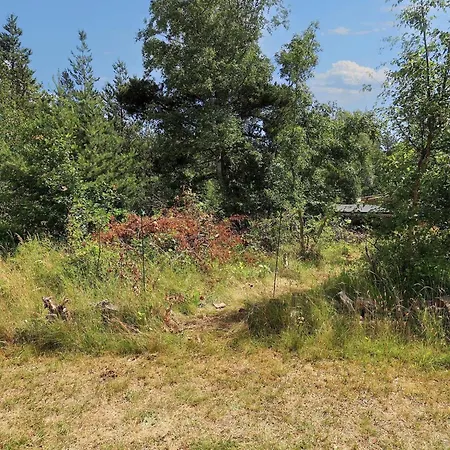 Iii 別荘 Rødby